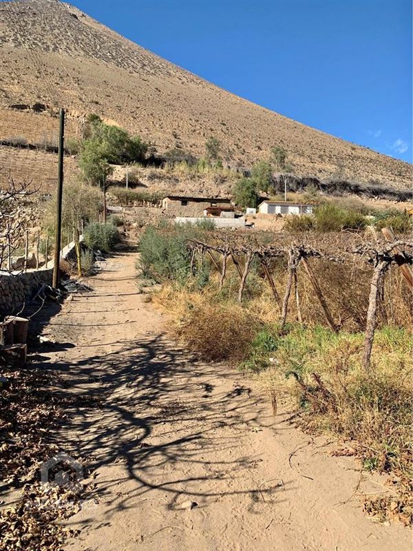 Terreno/Sitio en Venta - Vicuña