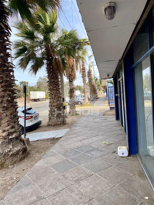 Oficina en Arriendo - Copiapó