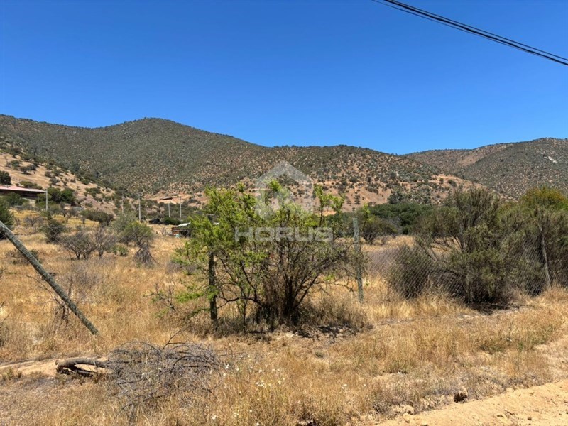 Terreno/Sitio en Venta - Curacaví